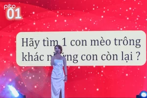 Do-vui-sendo-PITO Đố vui Sendo PITO