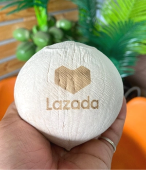 Dừa tươi in logo Lazada - PITO