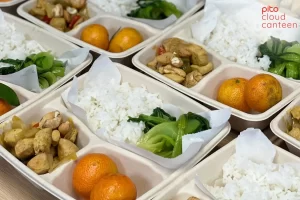 Dong-goi-com-van-phong-hop-dung-1-lan-PITO-Cloud-Canteen Đóng gói cơm văn phòng hộp dùng 1 lần - PITO Cloud Canteen