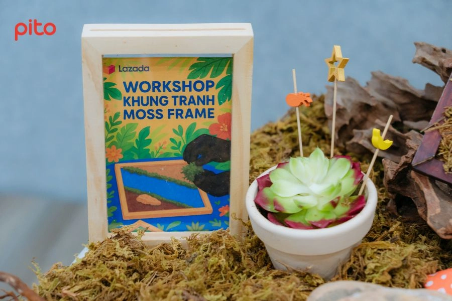 Đồ trang trí tiệc có thể tái sử dụng
