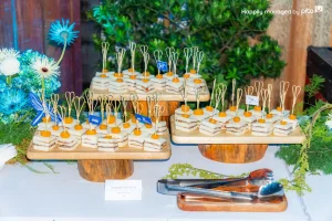canape-party (5)