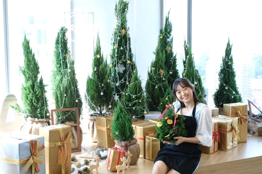 Workshop-trang-tri-cay-tung Workshop trang trí cây tùng